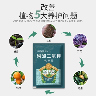 德沃多肥料绿萝植物营养液500mL+两包肥料绿植水培养花肥料盆栽园艺十三元素s509