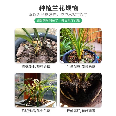 德沃多肥料兰花专用植物营养液500ml*2多箭素园艺养花肥料盆栽君子兰叶面肥s509