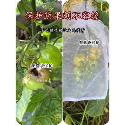 德沃多肥料防鸟袋40*60cm西瓜大小(15个)防虫网保护膜果实果树水果葡萄套袋s509s509