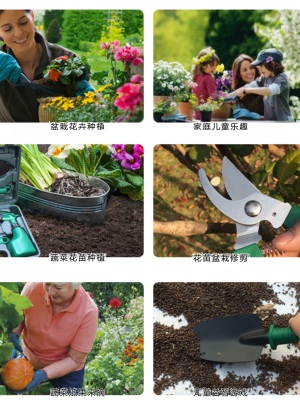 壹分皿 家用种花工具套装10件套园艺种菜盆栽养花喷壶铲花铲挖土s510