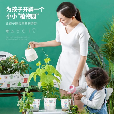 德沃多肥料DIY儿童趣味种植盆栽套装四季香菜种子植物观察杯蔬菜杯六一儿童s509