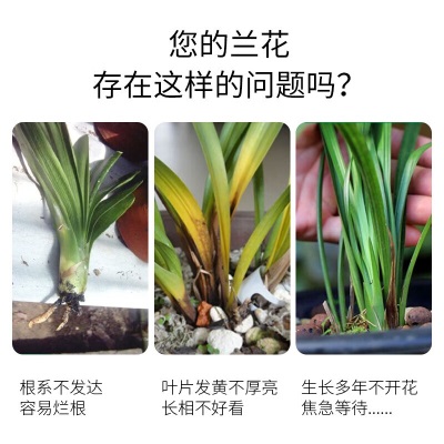 德沃多肥料缓释复合肥500g兰花型园艺绿植盆栽养花肥料通用颗粒有机氮磷钾肥s509