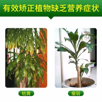 德沃多肥料植物营养液巴西木500ml园艺养花肥料绿植盆栽通用水培浓缩种植液s509s509