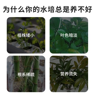 德沃多肥料水培专用浓缩植物营养液150ml园艺绿植花肥料生根有机种植叶面肥s509s509