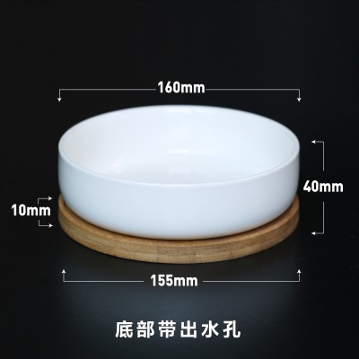 壹分皿日式多肉白瓷花盆创意现代简约室内白色小花盆多肉盆陶瓷盆s510s510