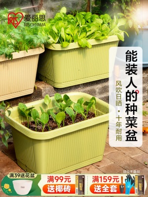 爱丽思阳台菜盆家庭蔬菜种菜盆专用箱室内长条花盆塑料种植爱丽丝s512
