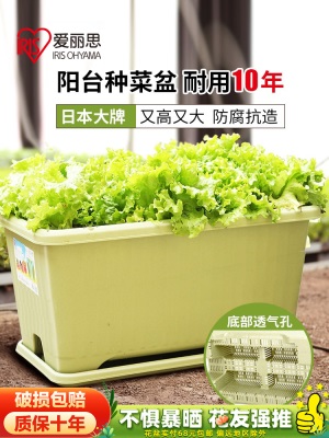 爱丽思阳台菜盆家庭蔬菜种菜盆专用箱室内长条花盆塑料种植爱丽丝s512