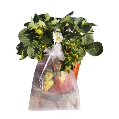 德沃多肥料防鸟袋9*12cm小号(100个)防虫网袋保护膜果实果树水果葡萄套袋s509s509