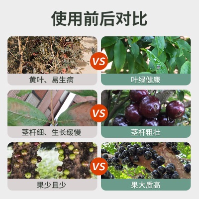 德沃多肥料嘉宝果专用缓释复合肥500g园艺绿植花肥料土培盆栽果树葡萄种植肥s509