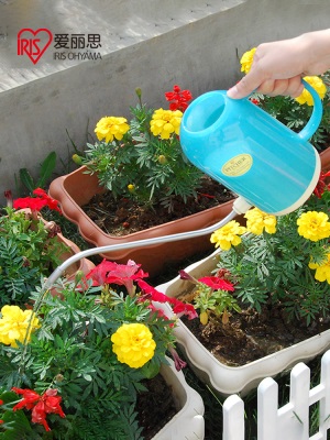 爱丽思迷你养花园艺工具浇水壶 透明塑料喷壶 树脂加厚小水壶s512