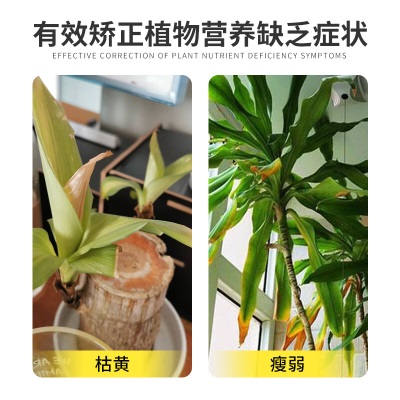 德沃多肥料植物营养液巴西木500ml园艺养花肥料绿植盆栽通用水培浓缩种植液s509s509