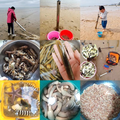 农宝赶海工具套装儿童海边沙滩挖沙铲子花蛤蜊耙子夹螃蟹神器s511