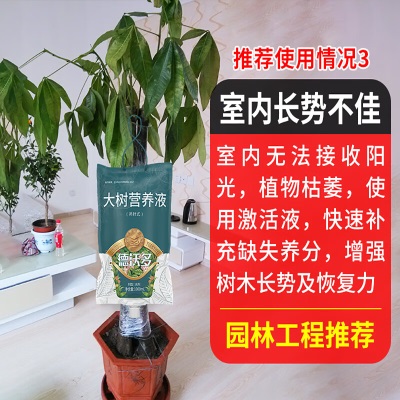 德沃多肥料大树营养液1L*4园林树木移栽肥料通用吊针式浓缩生根液施它活发芽s509s509