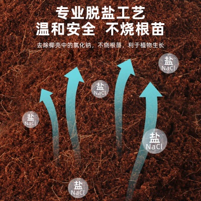 德沃多肥料椰糠砖营养土650g脱盐椰土爬宠乌龟冬眠园艺花土兰花多肉种植土壤s509s509