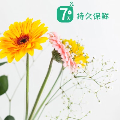 德沃多肥料鲜花插花泥*3+鲜花保鲜液50ml园艺花店用品插花泥泡沫花泥吸水s509s509