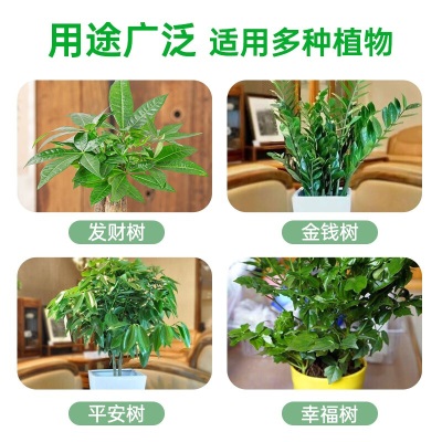 德沃多肥料缓释复合肥500g发财树型园艺植物花肥料盆栽家用绿植绿叶氮磷钾肥s509