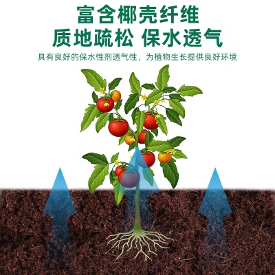 德沃多肥料椰糠砖营养土650g脱盐椰土爬宠乌龟冬眠园艺花土兰花多肉种植土壤s509s509