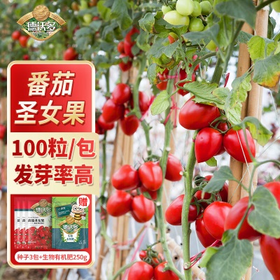德沃多肥料种子番茄圣女果*3袋+生物有机肥250g草籽四季播种蔬菜花卉盆栽s509s509