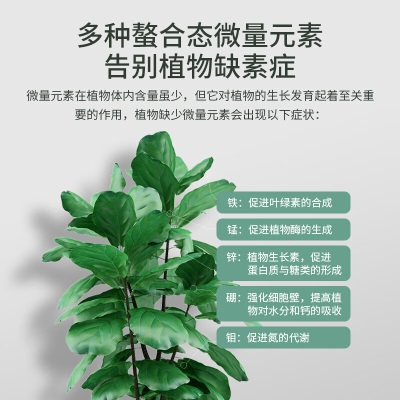 德沃多肥料 大量元素水溶肥500g-通用型s509s509