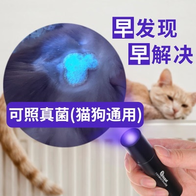 华元宠具（hoopet）伍德氏激光灯带图案可充电宠物猫咪猫猫用品激光笔逗猫棒s514