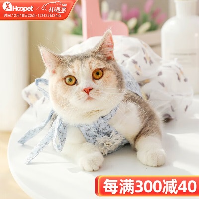 华元宠具（hoopet）小猫咪衣服幼猫奶猫夏季可爱夏天薄款春夏装宠物蓝猫的公主纱裙子s514