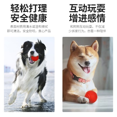 华元宠具（hoopet）狗狗玩具橡胶球耐咬磨牙小狗泰迪幼犬大型犬金毛互动益智宠物用品 实心球小号5cms514