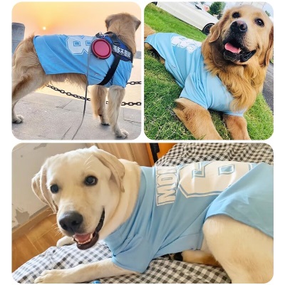 华元宠具（hoopet）狗狗衣服薄款金毛拉布拉多柴犬夏天大狗背心防掉毛中型大型犬宠物s514