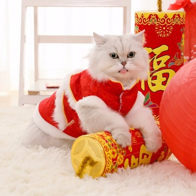 华元宠具（hoopet）宠物猫咪衣服冬季小猫冬天保暖可爱新年唐装英短蓝猫过年喜庆冬装 暖融融唐装s514