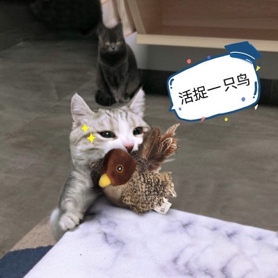 华元宠具（hoopet）宠物猫咪玩具猫互动逗猫仿真小鸟发声玩具幼猫益智小猫毛绒玩具 贵为炫律猎物-小鸟s514