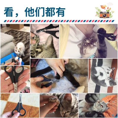 华元宠具（hoopet）不锈钢指甲剪刀小猫咪新手专用防抓兔子宠物猫爪猫猫剪指甲钳神器s514