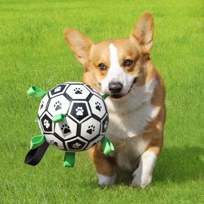 HOOPET 狗玩具耐咬狗狗玩具球宠物玩具网红足球小狗玩具中型犬大型犬金毛拉布拉多互动磨牙玩具用品s514