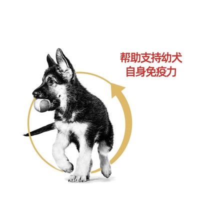 皇家狗粮 德牧幼犬狗粮 犬粮 大型犬 AGS30 通用粮 2-15月s521