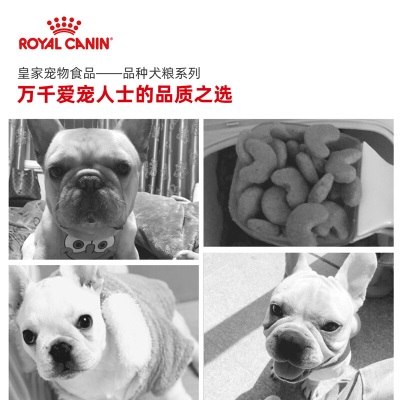 皇家狗粮 斗牛犬幼犬狗粮 犬粮 中型犬 FBJ30 通用粮 2-12月s521