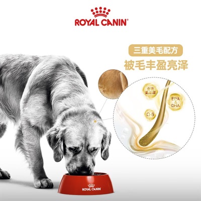 皇家狗粮 金毛成犬狗粮 犬粮 大型犬 GR25 通用粮 15月以上s521