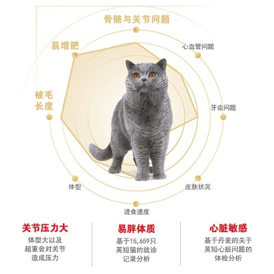 皇家猫粮 英短成猫粮 BS34 通用粮 12月以上s521