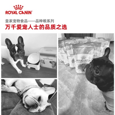 ROYAL CANIN 皇家狗粮 法国斗牛犬成犬全价粮 FBA26 6.5KGs521