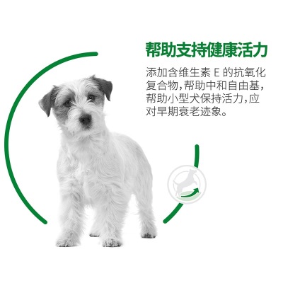 ROYAL CANIN 皇家狗粮 SPR27小型犬成犬通用粮 （8岁以上）6.5KG 保持健康活力 呵护消化健康s521