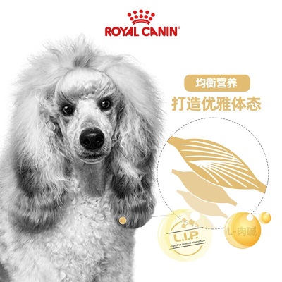 皇家狗粮 贵宾成犬狗粮 犬粮 小型犬 PD30 通用粮 10月-8岁 3KGs521