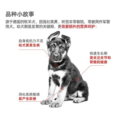 皇家狗粮 德牧幼犬狗粮 犬粮 大型犬 AGS30 通用粮 2-15月s521