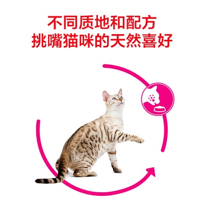 皇家猫粮 成猫猫粮 口感型 ES35 通用粮 12月以上s521