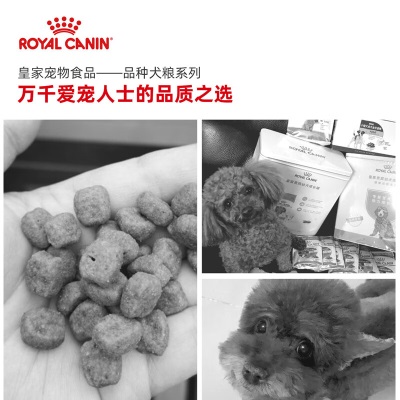 皇家狗粮 贵宾幼犬狗粮 犬粮 小型犬 APD33 通用粮 2-10月s521