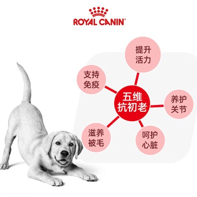 皇家狗粮 拉布拉多老年犬狗粮 犬粮 大型犬 SLR30 通用粮 5岁以上s521