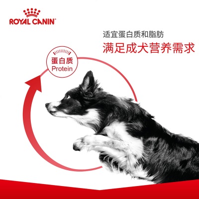 皇家狗粮 成犬狗粮 犬粮 通用犬型 CC 通用粮 12月以上s521