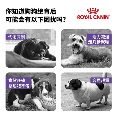 ROYAL CANIN 皇家狗粮 MSA30绝育呵护小型犬成犬狗粮 大于10月龄已绝育  2kgs521