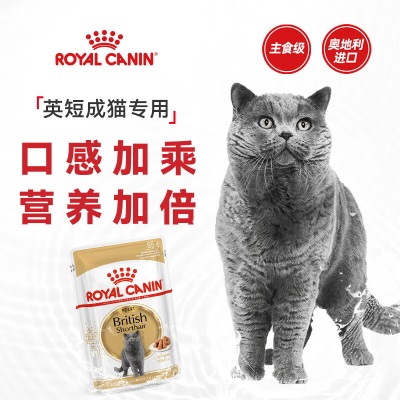 皇家猫粮 英短成猫湿粮 软包猫罐头BSP 12月以上 浓汤肉块s521
