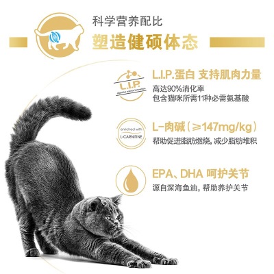 皇家猫粮 英短成猫粮 BS34 通用粮 12月以上s521