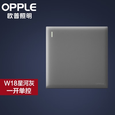 欧普（OPPLE）磨砂开关插座空调插座五孔面板暗装多孔家用W18s523