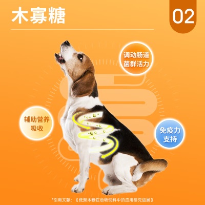 比瑞吉优选系列中大型小型犬幼犬通用15kg成犬狗粮金毛泰迪s518
