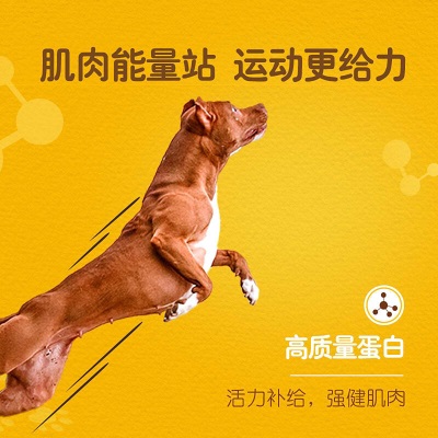 宝路宠物狗粮成犬全价粮大型犬金毛哈士奇拉布拉多萨摩耶牛肉味1.8kgs519