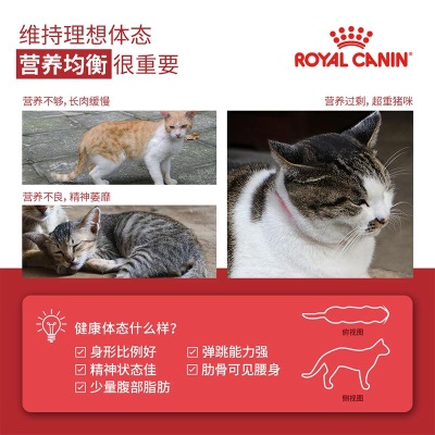 皇家猫粮 成猫猫粮 F32 通用粮 1-7岁s521